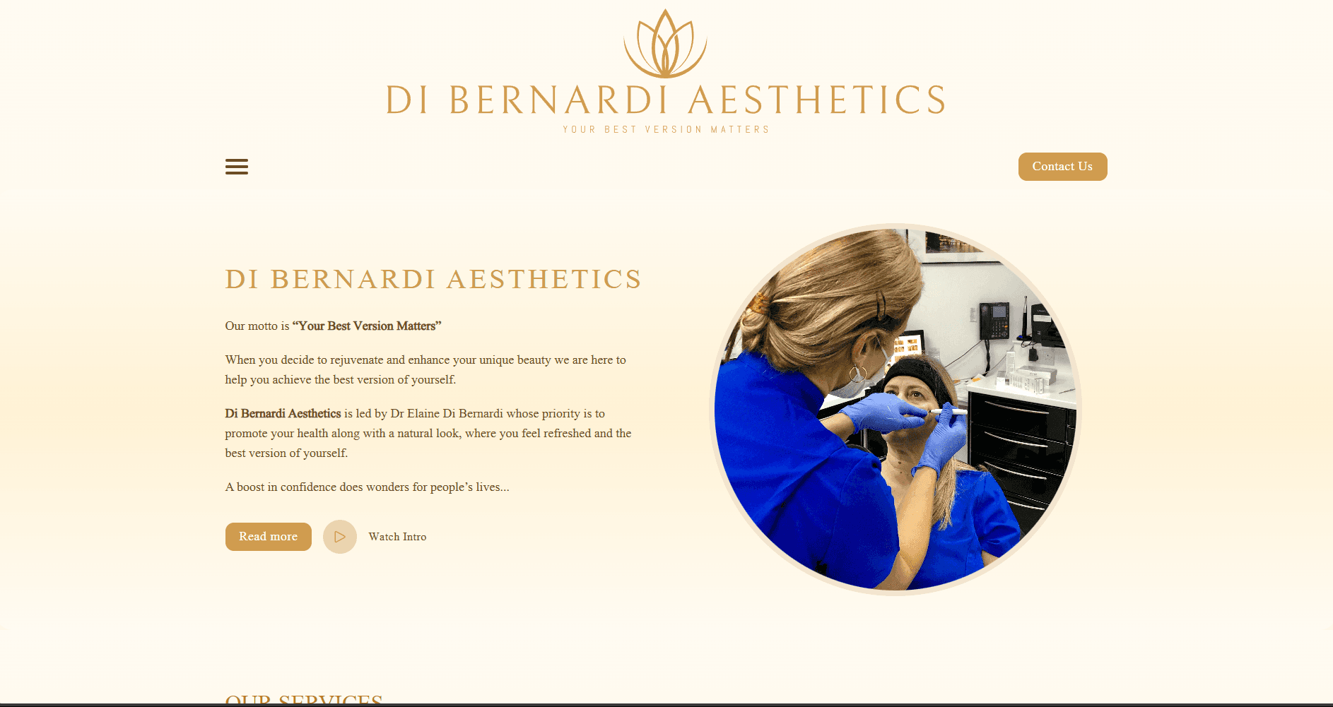 Di Bernardi Aesthetics