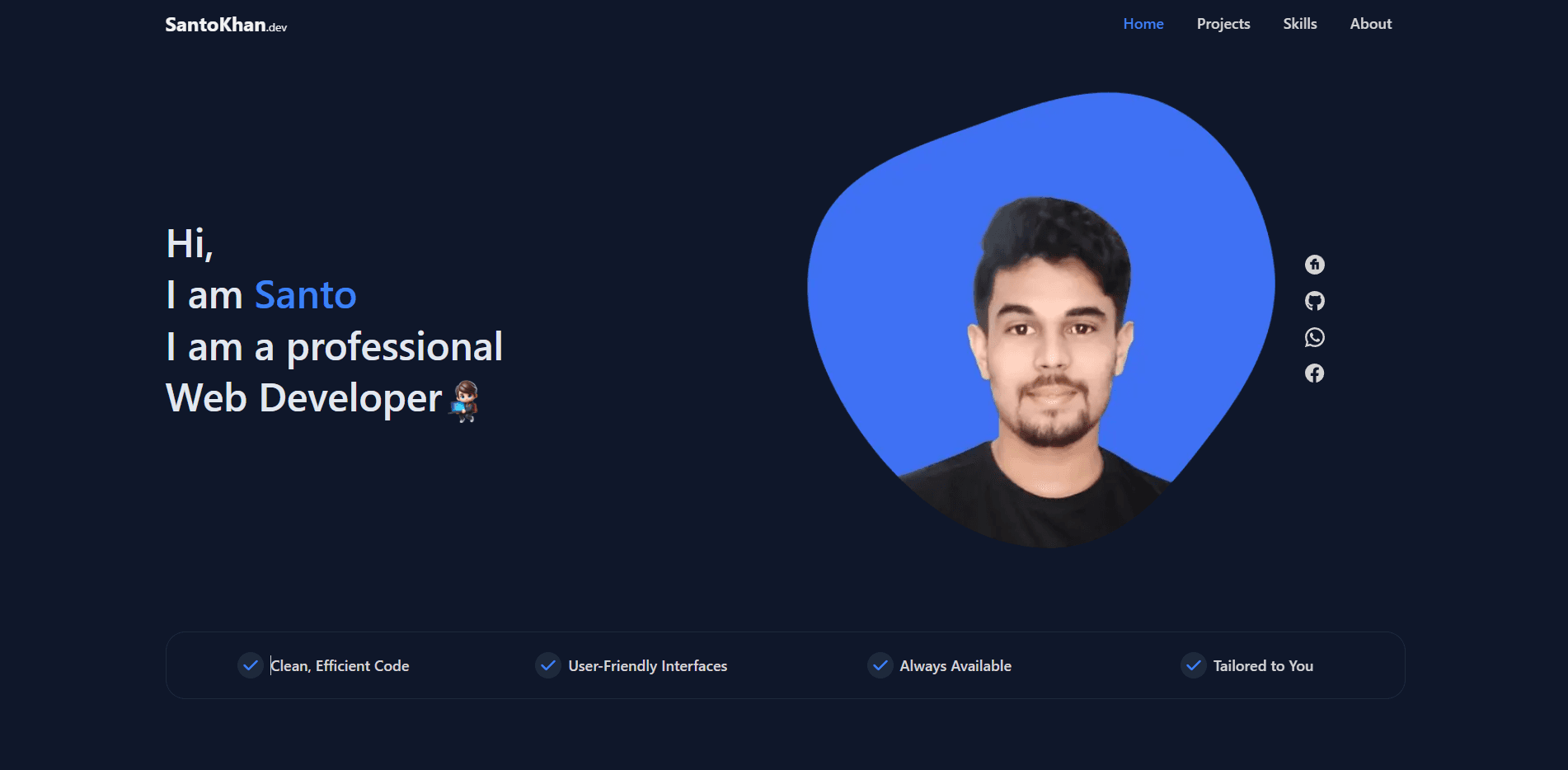 Developer Portfolio Website
